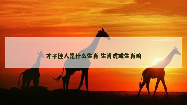 才子佳人是什么生肖 生肖虎或生肖鸡