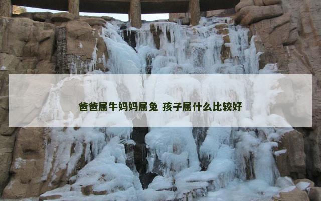 爸爸属牛妈妈属兔 孩子属什么比较好