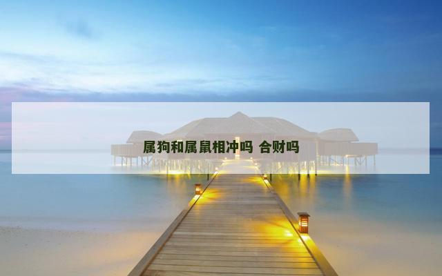 属狗和属鼠相冲吗 合财吗
