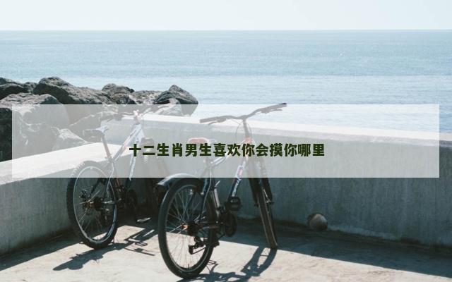 十二生肖男生喜欢你会摸你哪里