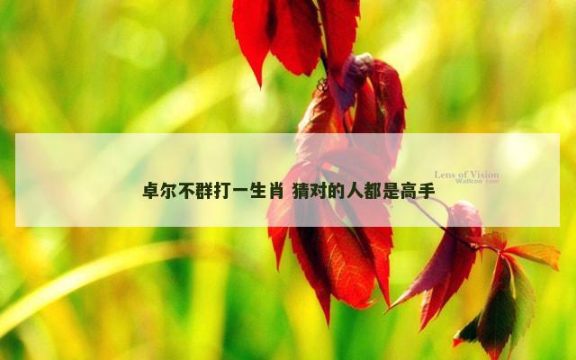卓尔不群打一生肖 猜对的人都是高手