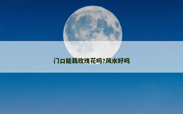 门口能栽玫瑰花吗?风水好吗