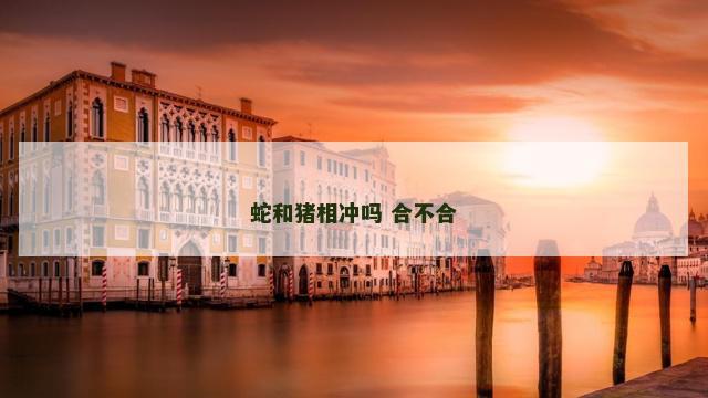 蛇和猪相冲吗 合不合