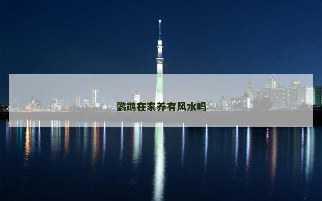 鹦鹉在家养有风水吗
