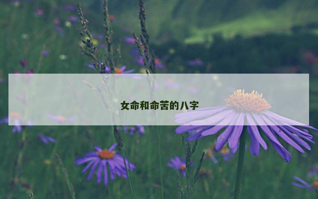 女命和命苦的八字