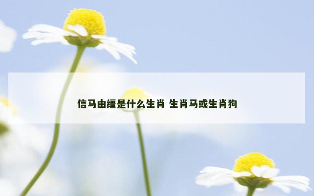 信马由缰是什么生肖 生肖马或生肖狗