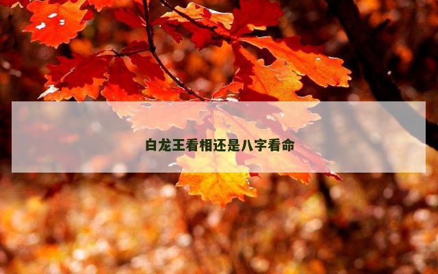 白龙王看相还是八字看命