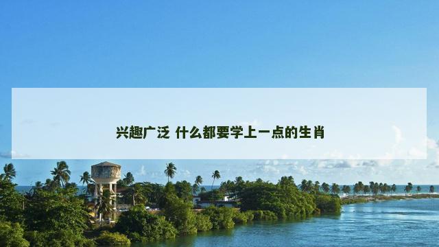 兴趣广泛 什么都要学上一点的生肖
