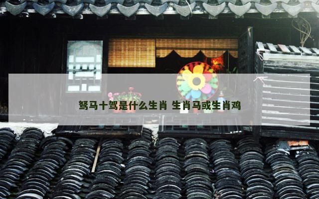 驽马十驾是什么生肖 生肖马或生肖鸡