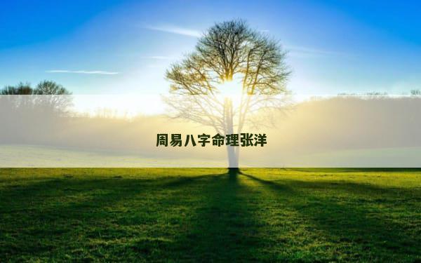 周易八字命理张洋