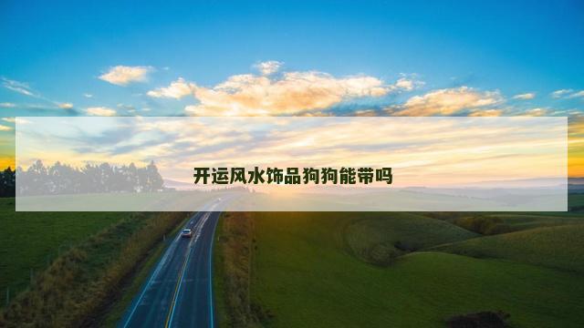 开运风水饰品狗狗能带吗