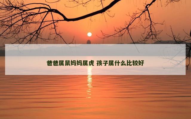 爸爸属鼠妈妈属虎 孩子属什么比较好