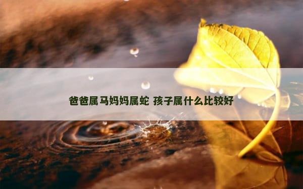 爸爸属马妈妈属蛇 孩子属什么比较好