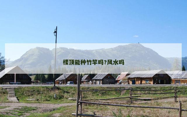 楼顶能种竹竿吗?风水吗