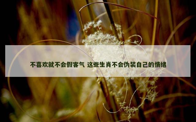 不喜欢就不会假客气 这些生肖不会伪装自己的情绪
