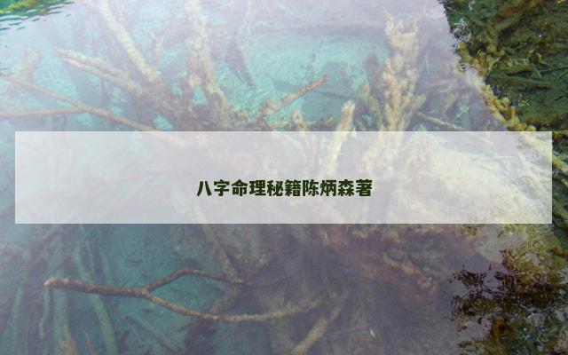 八字命理秘籍陈炳森著