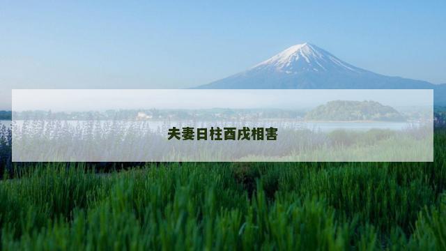 夫妻日柱酉戌相害