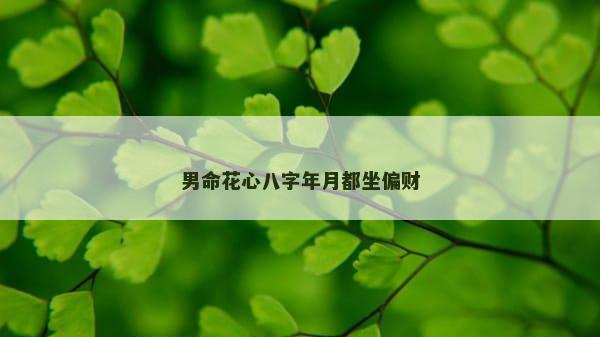 男命花心八字年月都坐偏财
