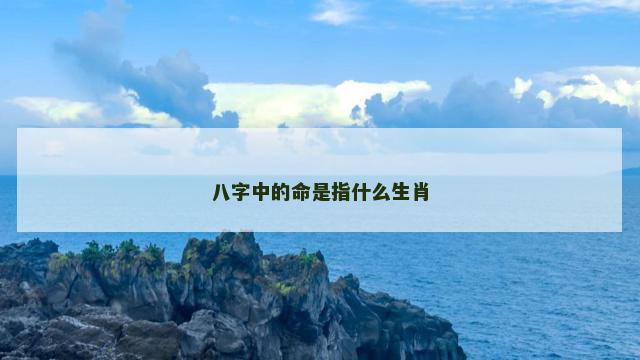 八字中的命是指什么生肖