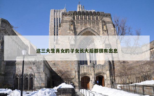 这三大生肖女的子女长大后都很有出息