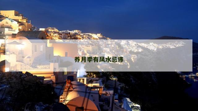 养月季有风水忌讳