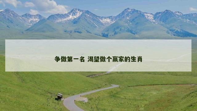 争做第一名 渴望做个赢家的生肖