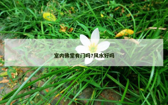 室内佛堂有门吗?风水好吗