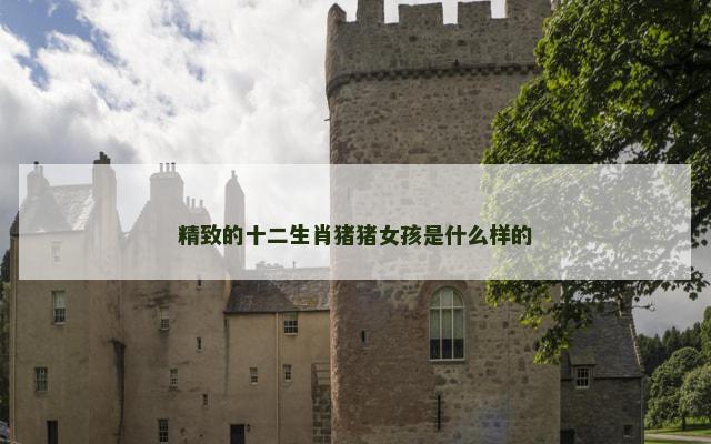 精致的十二生肖猪猪女孩是什么样的