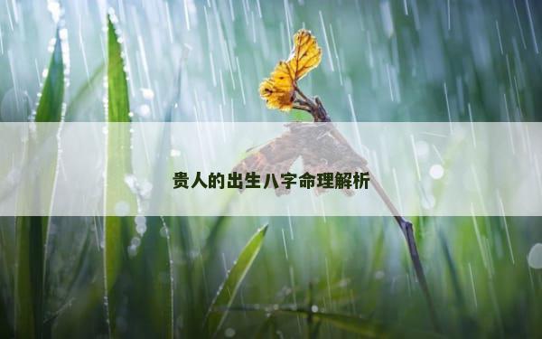 贵人的出生八字命理解析