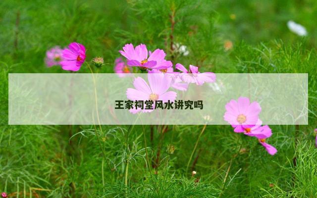 王家祠堂风水讲究吗