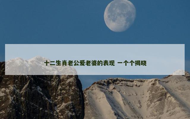 十二生肖老公爱老婆的表现 一个个揭晓