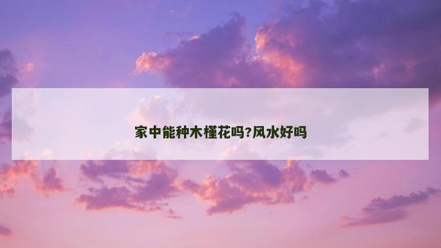 家中能种木槿花吗?风水好吗