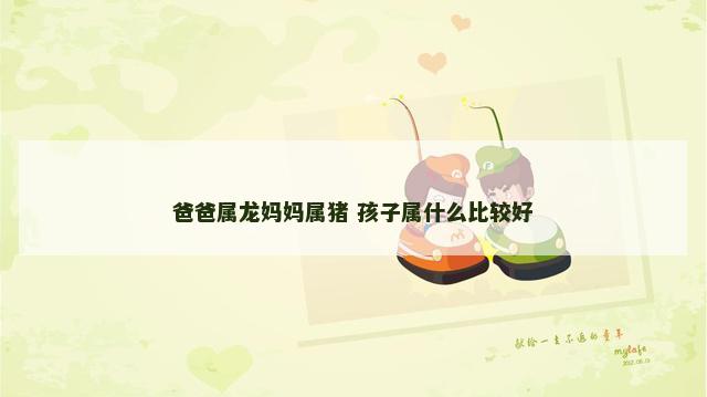 爸爸属龙妈妈属猪 孩子属什么比较好