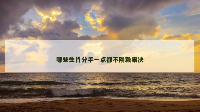 哪些生肖分手一点都不刚毅果决