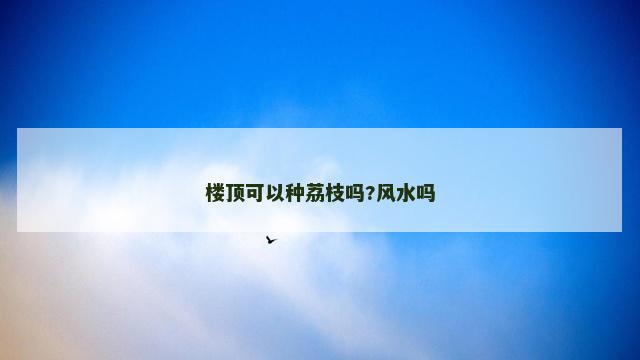 楼顶可以种荔枝吗?风水吗