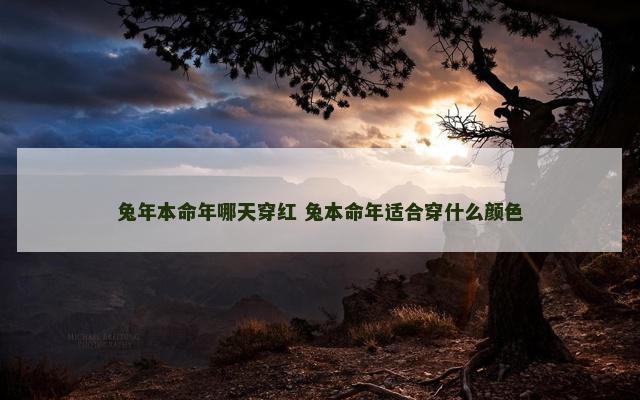 兔年本命年哪天穿红 兔本命年适合穿什么颜色