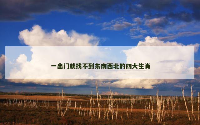 一出门就找不到东南西北的四大生肖