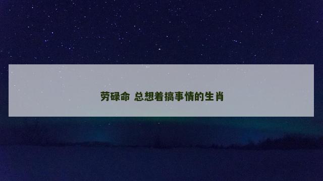 劳碌命 总想着搞事情的生肖