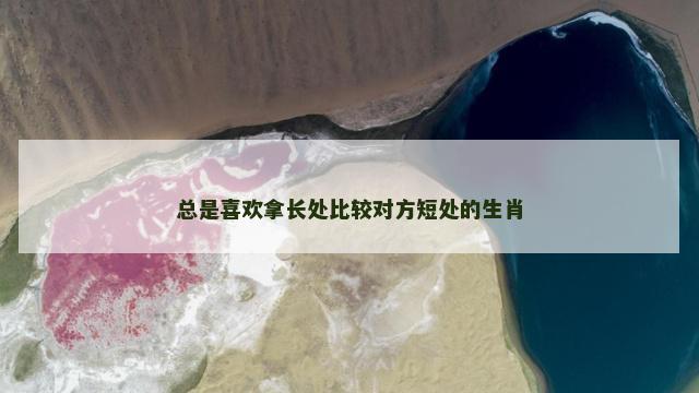 总是喜欢拿长处比较对方短处的生肖