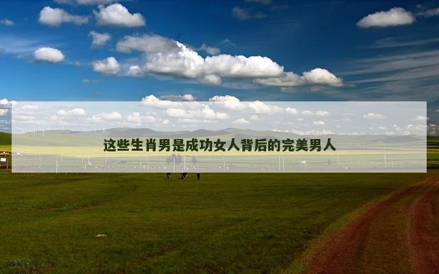 这些生肖男是成功女人背后的完美男人
