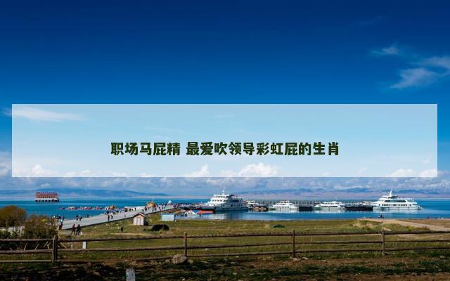 职场马屁精 最爱吹领导彩虹屁的生肖