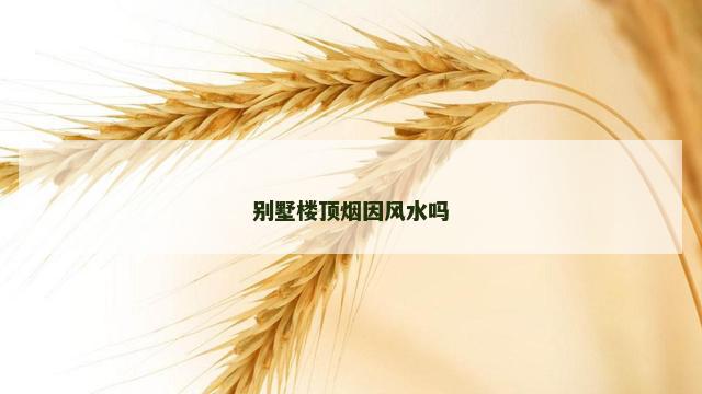 别墅楼顶烟因风水吗