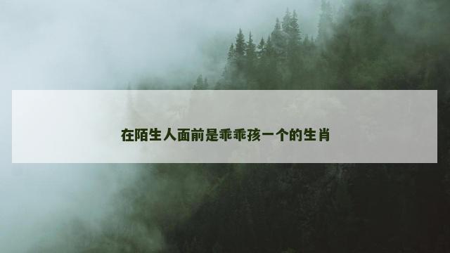 在陌生人面前是乖乖孩一个的生肖