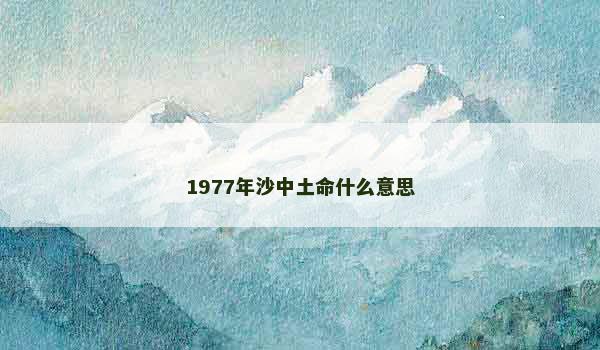 1977年沙中土命什么意思