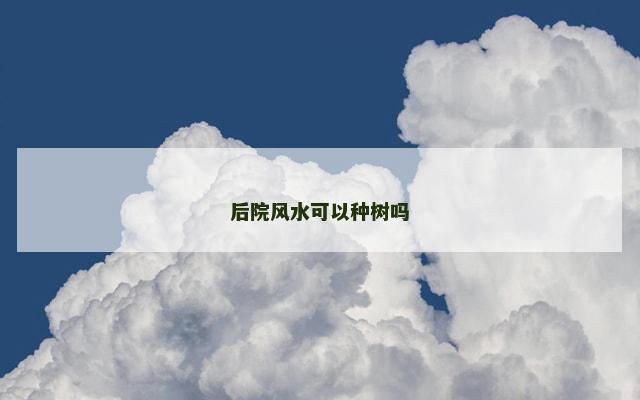 后院风水可以种树吗