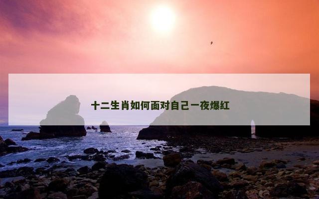 十二生肖如何面对自己一夜爆红