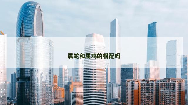 属蛇和属鸡的相配吗