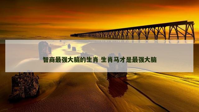 智商最强大脑的生肖 生肖马才是最强大脑
