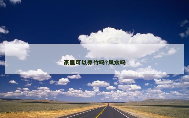 家里可以养竹吗?风水吗