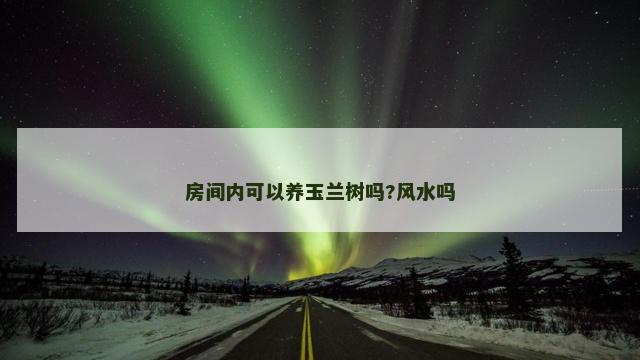 房间内可以养玉兰树吗?风水吗